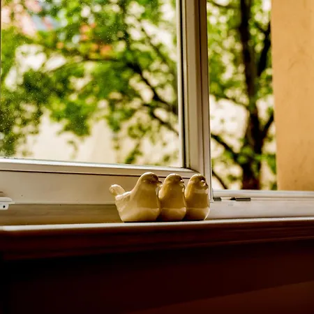 Appartement Wilson Park Cozy Retreat By Bookinghost *